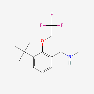 molecular formula C14H20F3NO B8182679 1-(3-(tert-Butyl)-2-(2,2,2-trifluoroethoxy)phenyl)-N-methylmethanamine 