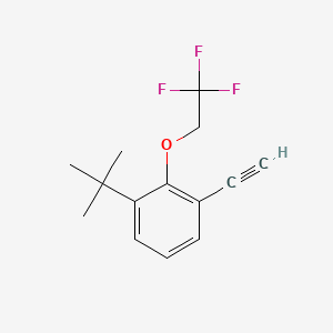 molecular formula C14H15F3O B8182682 1-(tert-Butyl)-3-ethynyl-2-(2,2,2-trifluoroethoxy)benzene 