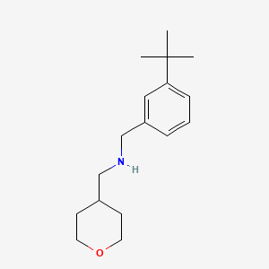 molecular formula C17H27NO B8182756 N-(3-(tert-Butyl)benzyl)-1-(tetrahydro-2H-pyran-4-yl)methanamine 