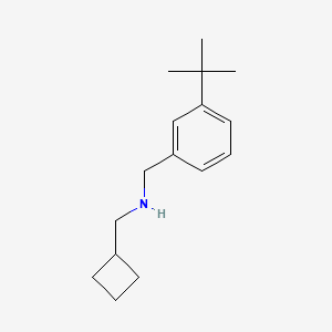 molecular formula C16H25N B8182772 N-(3-(tert-Butyl)benzyl)-1-cyclobutylmethanamine 
