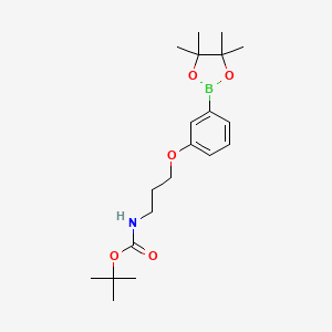 molecular formula C20H32BNO5 B8182984 {3-[3-(4,4,5,5-Tetramethyl-[1,3,2]dioxaborolan-2-yl)-phenoxy]-propyl}-carbamic acid tert-butyl ester 