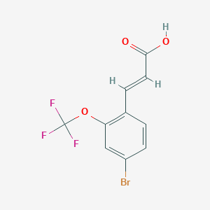 molecular formula C10H6BrF3O3 B8183024 3-(4-Bromo-2-trifluoromethoxyphenyl)acrylic acid 