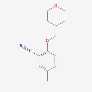 molecular formula C14H17NO2 B8183119 5-Methyl-2-((tetrahydro-2H-pyran-4-yl)methoxy)benzonitrile 