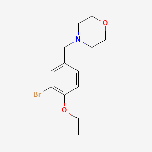 molecular formula C13H18BrNO2 B8183242 4-(3-Bromo-4-ethoxybenzyl)morpholine 