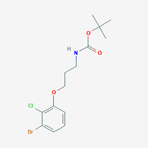 molecular formula C14H19BrClNO3 B8183440 tert-Butyl (3-(3-bromo-2-chlorophenoxy)propyl)carbamate 