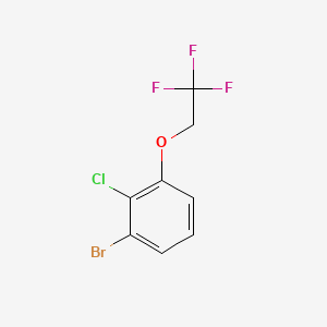 molecular formula C8H5BrClF3O B8183468 1-Bromo-2-chloro-3-(2,2,2-trifluoroethoxy)benzene 