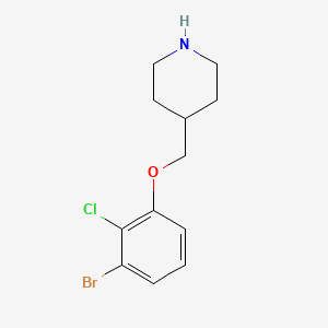 molecular formula C12H15BrClNO B8183487 4-((3-Bromo-2-chlorophenoxy)methyl)piperidine 