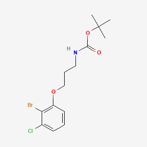 molecular formula C14H19BrClNO3 B8183552 tert-Butyl (3-(2-bromo-3-chlorophenoxy)propyl)carbamate 