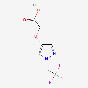 molecular formula C7H7F3N2O3 B8183608 2-((1-(2,2,2-Trifluoroethyl)-1H-pyrazol-4-yl)oxy)acetic acid 