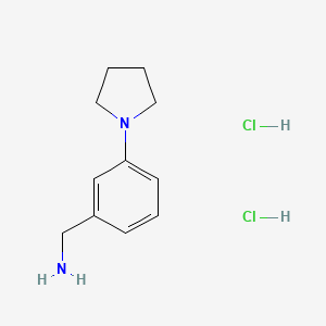 molecular formula C11H18Cl2N2 B8184001 (3-Pyrrolidin-1-ylphenyl)methanamine;dihydrochloride 