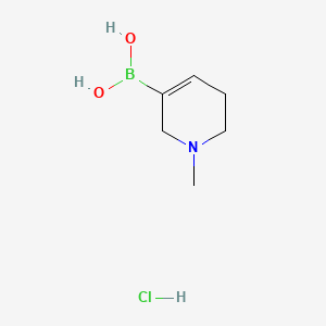 molecular formula C6H13BClNO2 B8184166 (1-methyl-3,6-dihydro-2H-pyridin-5-yl)boronic acid;hydrochloride 