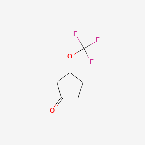 molecular formula C6H7F3O2 B8184499 3-(Trifluoromethoxy)cyclopentan-1-one 