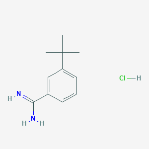 molecular formula C11H17ClN2 B8185068 3-tert-Butyl-benzamidine hydrochloride 