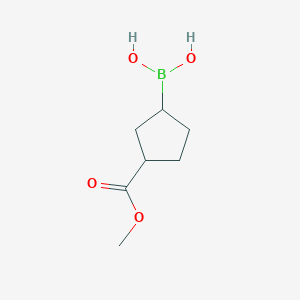 molecular formula C7H13BO4 B8185378 3-Methoxycarbonyl-cyclopentane-boronic acid 