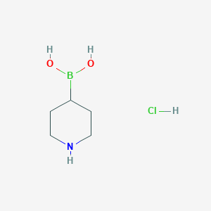 molecular formula C5H13BClNO2 B8187434 Piperidine-4-boronic acid hydrochloride 
