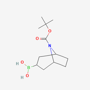 molecular formula C12H22BNO4 B8187448 8-Boc-8-aza-bicyclo[3.2.1]octane-3-boronic acid 
