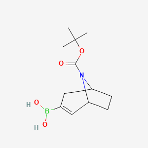 molecular formula C12H20BNO4 B8187452 8-Boc-8-aza-bicyclo[3.2.1]oct-2-ene-3-boronic acid 