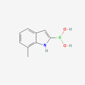 molecular formula C9H10BNO2 B8187478 7-Methyl-1H-indole-2-boronic acid 