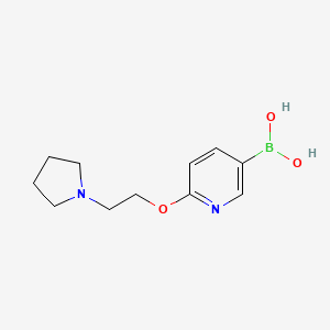 molecular formula C11H17BN2O3 B8187504 2-(2-Pyrrolidin-1-YL-ethoxy)-pyridine-5-boronic acid 