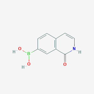 1-Hydroxyisoquinoline-7-boronic acid