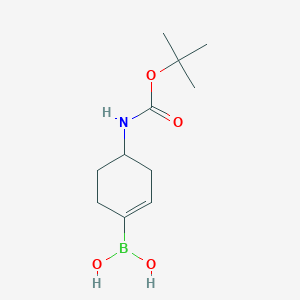 molecular formula C11H20BNO4 B8187555 (4-{[(Tert-butoxy)carbonyl]amino}cyclohex-1-en-1-yl)boronic acid 