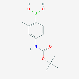 molecular formula C12H18BNO4 B8187557 4-Bocamino-2-methyl-phenylboronic acid 