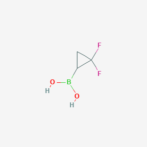 molecular formula C3H5BF2O2 B8187779 2,2-Difluoro-cyclopropaneboronic acid 