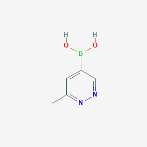 molecular formula C5H7BN2O2 B8187858 (6-Methylpyridazin-4-yl)boronic acid 