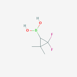 molecular formula C5H9BF2O2 B8187870 2,2-Difluoro-3,3-dimethyl-cyclopropaneboronic acid 