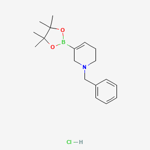 molecular formula C18H27BClNO2 B8187921 [1-Benzyl-1,2,5,6-tetrahydropyridine-3-yl]boronic acid pinacol ester hydrochloride 