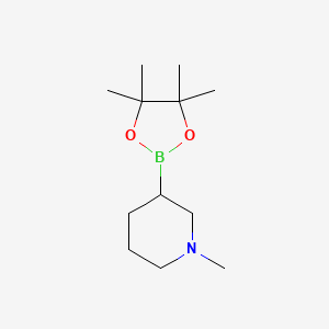 molecular formula C12H24BNO2 B8187940 1-Methyl-piperidine-3-boronic acid pinacol ester 