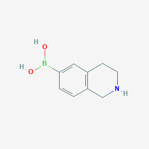 molecular formula C9H12BNO2 B8187960 1,2,3,4-Tetrahydro-isoquinoline-6-boronic acid 