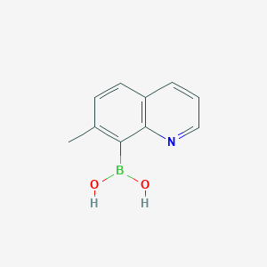 molecular formula C10H10BNO2 B8187999 (7-Methylquinolin-8-yl)boronic acid 