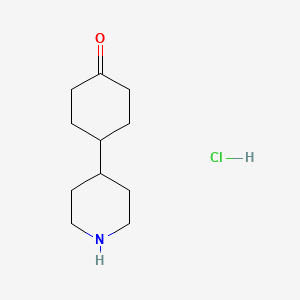 molecular formula C11H20ClNO B8189167 4-Piperidin-4-yl-cyclohexanone hydrochloride CAS No. 1965309-37-8