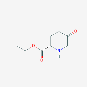 molecular formula C8H13NO3 B8189897 (S)-5-Oxo-piperidine-2-carboxylic acid ethyl ester 