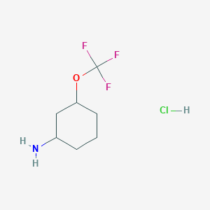 molecular formula C7H13ClF3NO B8191886 3-Trifluoromethoxy-cyclohexylamine hydrochloride 