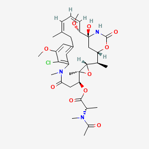 molecular formula C34H46ClN3O10 B8192946 [(1S,2R,3S,5S,6S,16Z,18Z,20R,21S)-11-chloro-21-hydroxy-12,20-dimethoxy-2,5,9,16-tetramethyl-8,23-dioxo-4,24-dioxa-9,22-diazatetracyclo[19.3.1.110,14.03,5]hexacosa-10,12,14(26),16,18-pentaen-6-yl] (2S)-2-[acetyl(methyl)amino]propanoate 