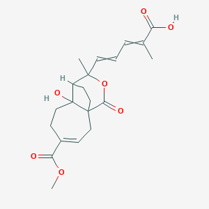 molecular formula C21H26O7 B8193306 5-(7-Hydroxy-4-methoxycarbonyl-9-methyl-11-oxo-10-oxatricyclo[6.3.2.01,7]tridec-3-en-9-yl)-2-methylpenta-2,4-dienoic acid 