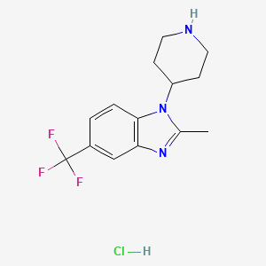 molecular formula C14H17ClF3N3 B8193592 2-Methyl-1-(piperidin-4-yl)-5-(trifluoromethyl)-1H-benzo[d]imidazole hydrochloride 