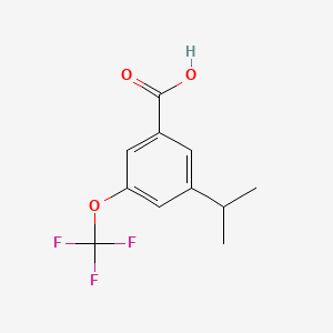 molecular formula C11H11F3O3 B8193786 3-Isopropyl-5-(trifluoromethoxy)benzoic acid 
