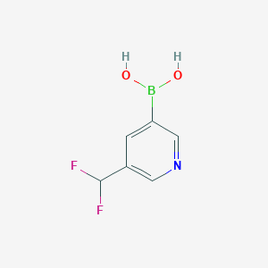 molecular formula C6H6BF2NO2 B8194704 5-Difluoromethyl-pyridine-3-boronic acid 