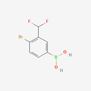 molecular formula C7H6BBrF2O2 B8194708 [4-Bromo-3-(difluoromethyl)phenyl]boronic acid 