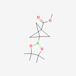 molecular formula C13H21BO4 B8195200 Methyl 3-(4,4,5,5-tetramethyl-1,3,2-dioxaborolan-2-yl)bicyclo[1.1.1]pentane-1-carboxylate 