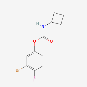 molecular formula C11H11BrFNO2 B8195216 3-Bromo-4-fluorophenyl cyclobutylcarbamate 