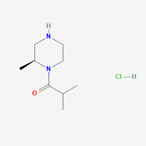 molecular formula C9H19ClN2O B8195389 2-methyl-1-[(2S)-2-methylpiperazin-1-yl]propan-1-one;hydrochloride 