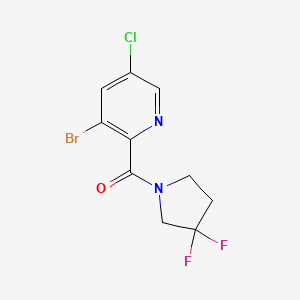 molecular formula C10H8BrClF2N2O B8196950 (3-Bromo-5-chloropyridin-2-yl)(3,3-difluoropyrrolidin-1-yl)methanone 