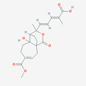 molecular formula C21H26O7 B8197402 (2E,4E)-5-(7-hydroxy-4-methoxycarbonyl-9-methyl-11-oxo-10-oxatricyclo[6.3.2.01,7]tridec-3-en-9-yl)-2-methylpenta-2,4-dienoic acid 
