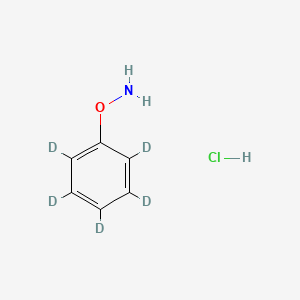 molecular formula C6H8ClNO B8198159 O-phenylhydroxylamine hydrochloride-d5 