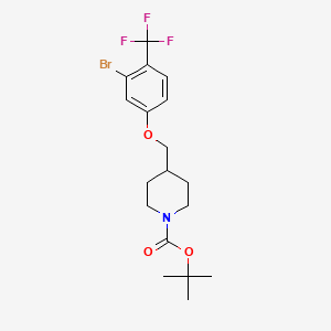 molecular formula C18H23BrF3NO3 B8199491 tert-Butyl 4-((3-bromo-4-(trifluoromethyl)phenoxy)methyl)piperidine-1-carboxylate 