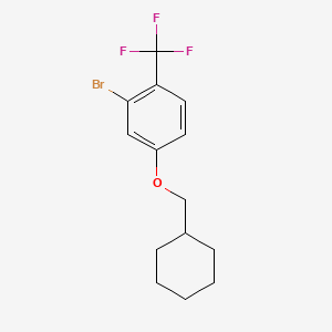 molecular formula C14H16BrF3O B8199502 2-Bromo-4-(cyclohexylmethoxy)-1-(trifluoromethyl)benzene 